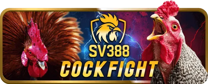 Bảo vệ người chơi dưới tuổi và dữ liệu tại Win98 Nổ Hũ